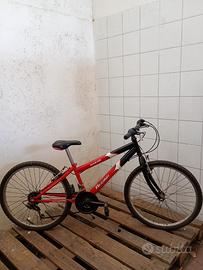 Bicicletta regina dakar