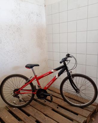 Bicicletta regina dakar