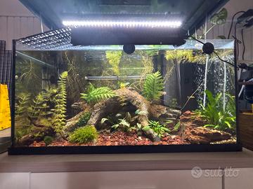 Acqusrio juwel primo 110l