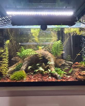 Acqusrio juwel primo 110l