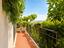 Immagine 14