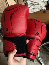 Guantoni boxe domyos