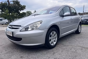Peugeot 307 1.6 16V 5p. XSI