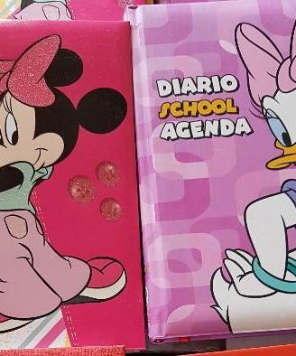 Stock (numero 2) diari agenda scuola