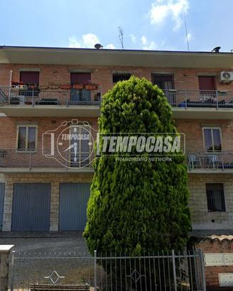 AMPIO QUADRILOCALE A CASINALBO