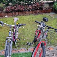 Bici ragazza e bici unisex 