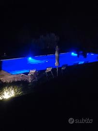 Coppia Custodi Casieri