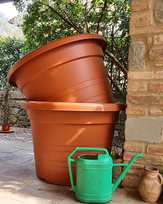 2 Grandi Vasi giardino per alberi da frutto, palme