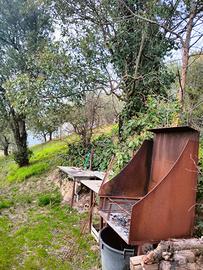 Terreno con ulivi e vigneto