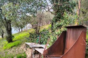 Terreno con ulivi e vigneto