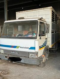 Iveco 79-14
