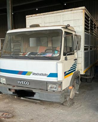 Iveco 79-14