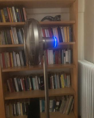 Ventilatore sia per uso domestico che industriale