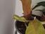 Immagine 3