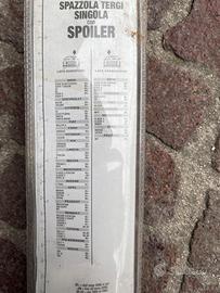 Spazzola tergicristallo