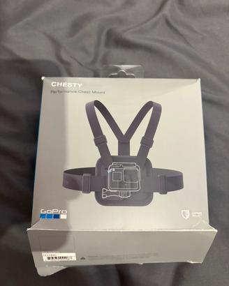 Chesty go pro