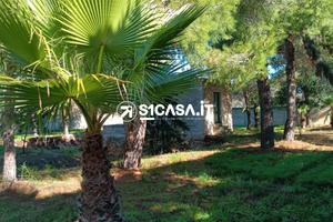 Terreno agricolo con deposito a Galatone