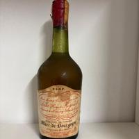Bottiglia Marc de Bourgogne Acqua vite di vinacce