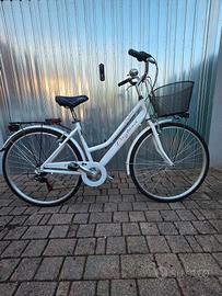 coppia di biciclette 