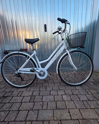 coppia di biciclette 