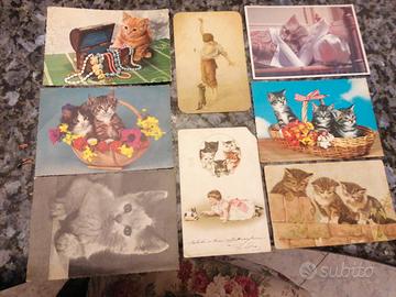 cartoline tematica gatti. lotto 734