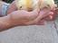 Immagine 3