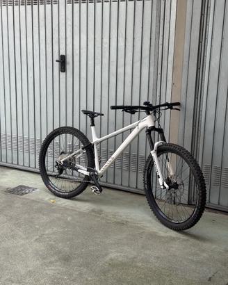 Canyon Stoic 2 29"