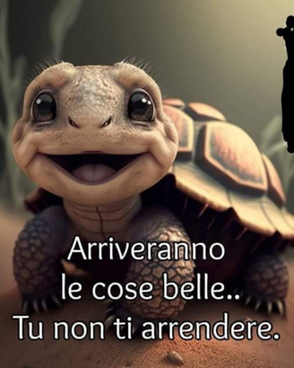 Custode , Badante, Tutto fare