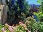 Immagine 26