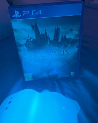 Videogioco hogwarts legacy
