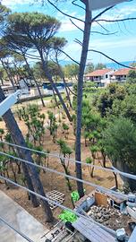 Mini appartamento 50 m dal mare
