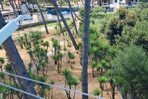 Mini appartamento 50 m dal mare