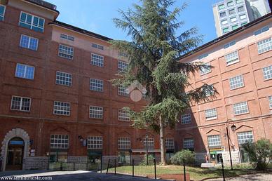 NEGOZIO A TRIESTE
