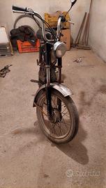 Califfone Rizzato anno 1981