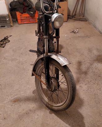 Califfone Rizzato anno 1981