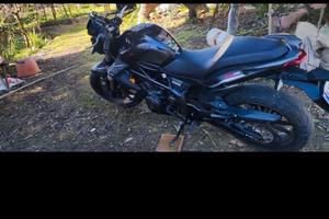 benelli bn302 s