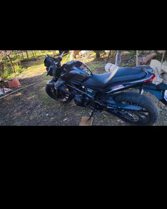 benelli bn302 s
