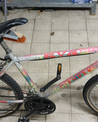 Mountain bike