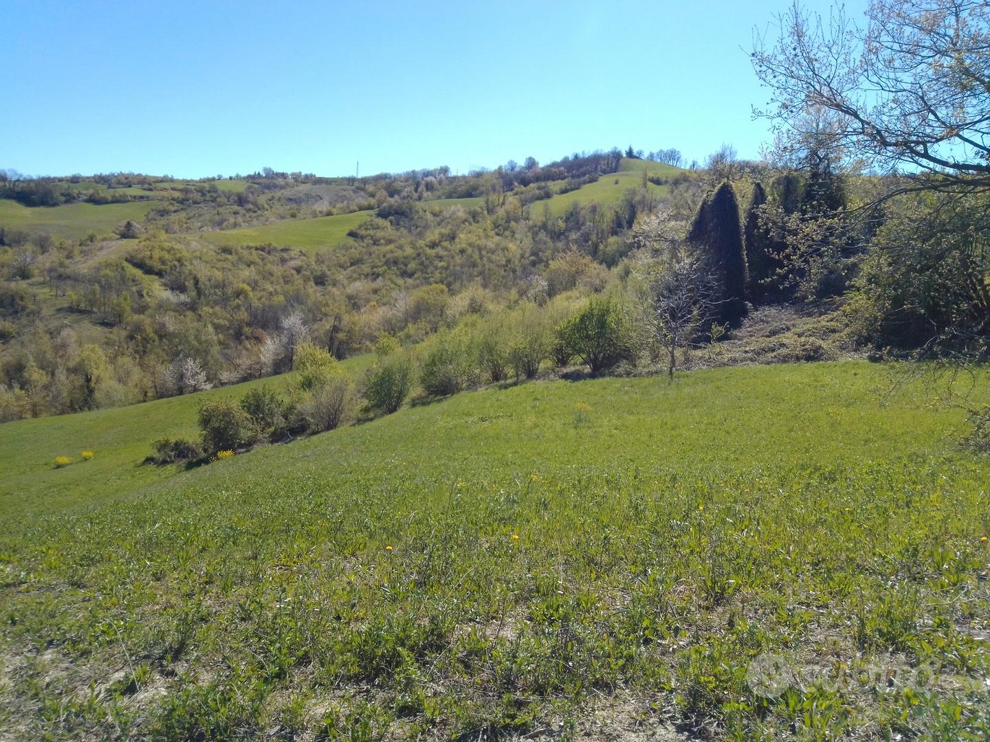 Terreno agricolo non edificabile - Vista 4