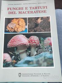 Libro funghi e tartufi del Maceratese