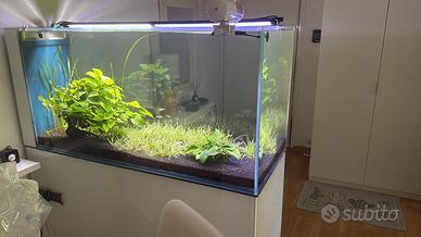 Acquario marino  o dolce malberti con angoli a 45º