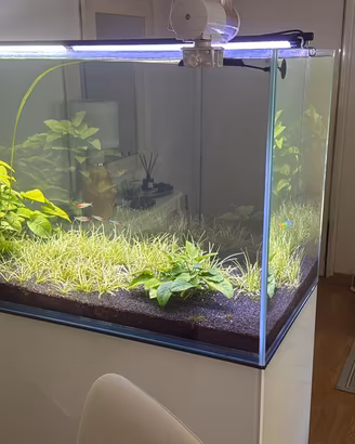 Acquario marino  o dolce malberti con angoli a 45º