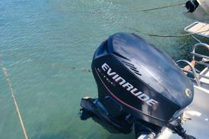 Motore Evinrude E-tec 40CV 2 tempi