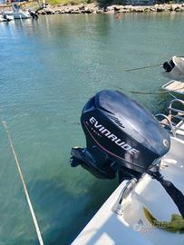Motore Evinrude E-tec 40CV 2 tempi