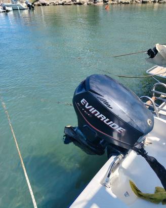 Motore Evinrude E-tec 40CV 2 tempi