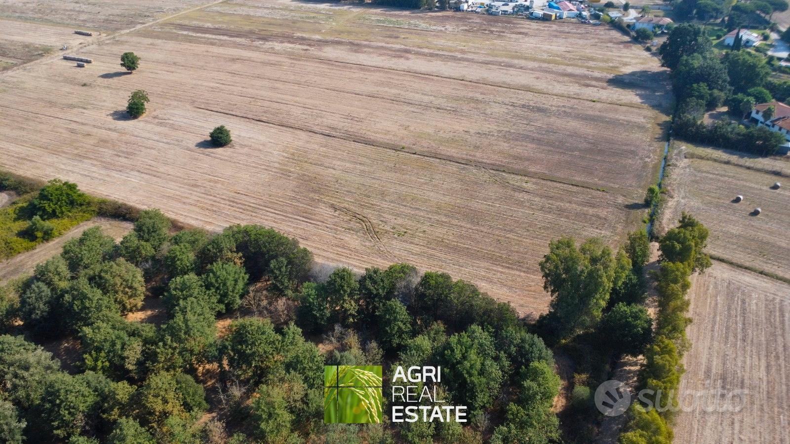Terreno agricolo 4 ettari fronte strada con pozzo - Vista 4