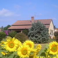 Villetta pressi Golfo BARATTI Populonia - D2