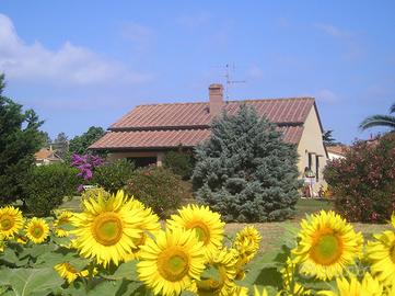 Villetta pressi Golfo BARATTI Populonia - D2