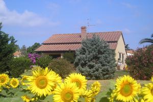 Villetta pressi Golfo BARATTI Populonia - D2