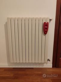 Radiatori in ghisa